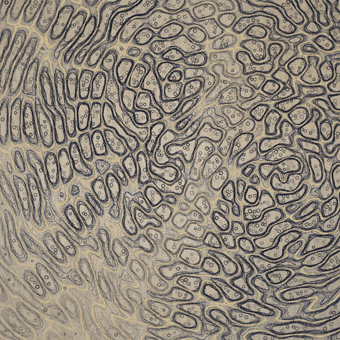 An abstract pattern of swirling dark blue and tan lines forming organic, cell-like shapes.