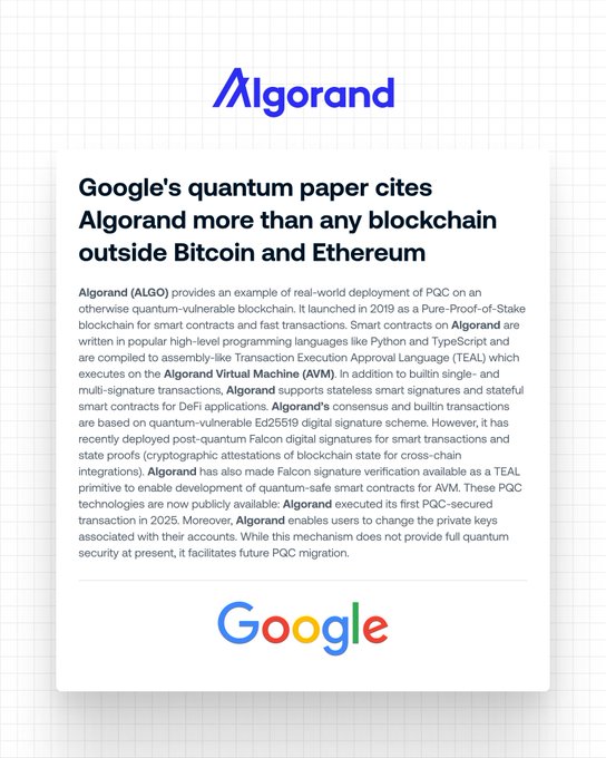 An Algorand article states 'Google's quantum paper cites Algorand more than any blockchain outside Bitcoin and Ethereum', featuring the Algorand and Google logos.