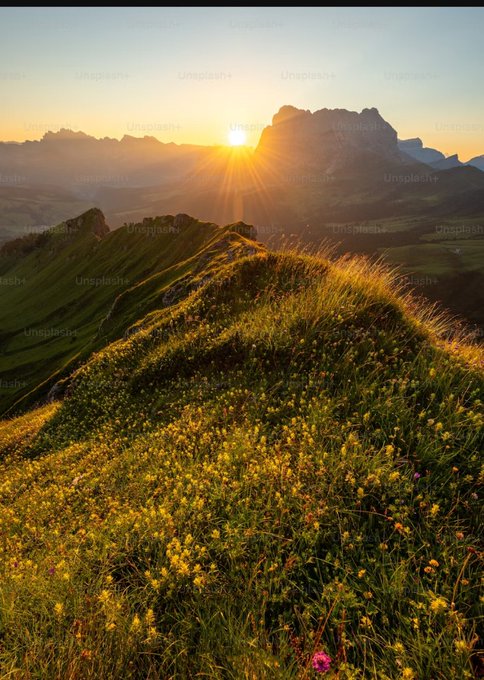 The image shows a beautiful sunset over a mountain range, with a field of yellow flowers at the base of the mountains. The sun is setting behind the mountains, casting a warm glow across the scene. The photo has been edited by @quipnetwork, who has focused on the main subject and removed any unnecessary elements or distractions from the image to highlight its beauty and the stunning natural landscape.