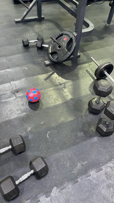 A gym floor with black interlocking rubber mats scattered with various dumbbells, weight plates, and a single red and blue speckled medicine ball.