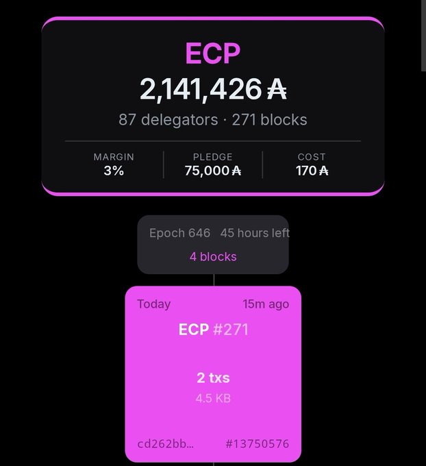A dashboard displaying 'ECP' stats: 2,141,426 A, 87 delegators, 271 blocks, with 3% margin, 75,000 A pledge, 170 A cost, and showing ECP #271 block.