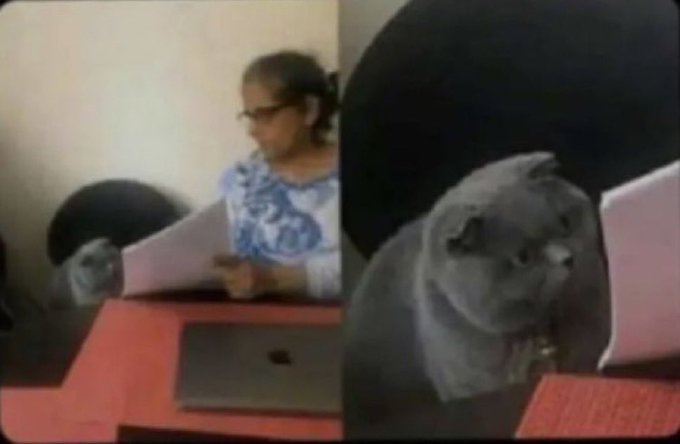 The image is a two-panel split screen: on the left, a woman wearing glasses sits at a desk reading a paper with a small pug beside her, and on the right, the same pug appears looking grumpy next to a laptop. The caption humorously mirrors the joke—presenting the woman as the teacher and the unimpressed pug as the "me," capturing the scene of someone being caught or side-eyed by their pet while dealing with crypto losses.