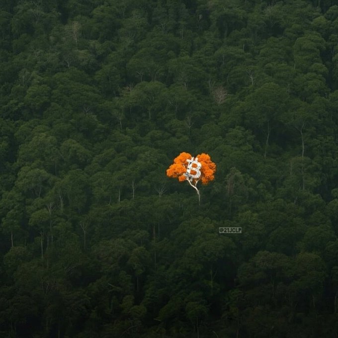 An aerial view of a dense green forest with a digitally added orange tree shaped like a Bitcoin symbol, credited to @21JCLP.