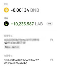 Cryptocurrency transaction screenshot showing a payment of -0.00134 BNB and a receipt of +10,235.567 LAB tokens, with a partially obscured address and transaction hash.