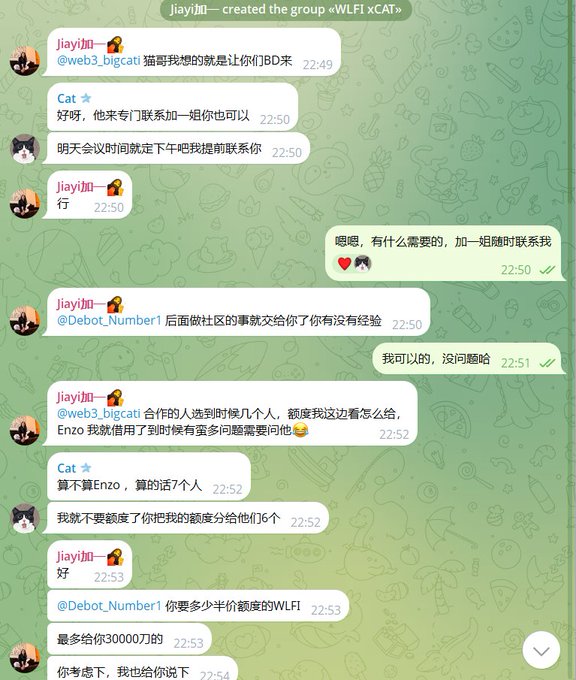 A Telegram group chat titled 'WLFI xCAT' shows conversation in Chinese between users jiayi加一, Cat, and Debot_Number1 discussing WLFI token distribution, meeting times, and a budget of 30,000刀 (30,000 dollars).