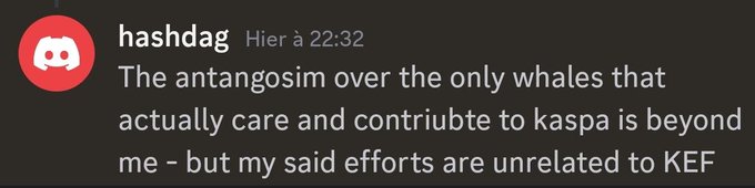 The image shows a message posted on social media, which seems to be a response to a post made by a user named @hashdag. The message reads: "The antigosim over the only whales that actually care and contribute to Kaspa is beyond me - but my said efforts are relat...