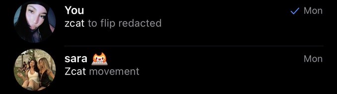 A social media chat shows a message 'zcat to flip redacted' from the user and a reply 'Zcat movement' from 'sara' marked Monday.
