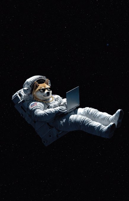 A digital illustration of a dog wearing sunglasses and an astronaut suit floating in space while using a laptop.