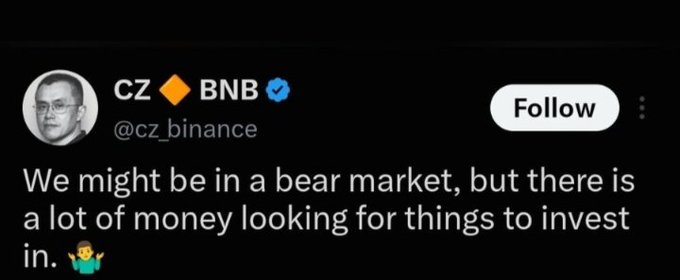 A tweet from CZ (@cz_binance) reads: "We might be in a bear market, but there is a lot of money looking for things to invest in," reinforcing his view that sidelined capital—not a lack of liquidity—is the real story, ready to deploy once confidence returns.