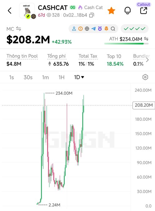 A screenshot from GMGN showing the $CASHCAT (Cash Cat) token's market cap at $208.2M, up 42.93% with an ATH of $234.04M, illustrating the post's celebration of the token breaking its all-time high and surpassing $200M in market capitalization.