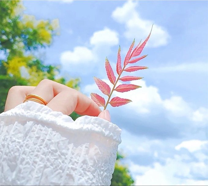 A hand wearing gold rings and a white textured sleeve holds up a delicate pink and green sumac leaf against a backdrop of blue sky, white clouds, and green foliage.