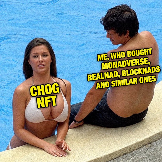 A meme showing a woman in a bikini labeled 'CHOG NFT' by a pool, contrasted with a man labeled 'ME, WHO BOUGHT MONADVERSE, REALNAD, BLOCKNADS AND SIMILAR ONES'.