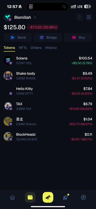 A screenshot of a crypto wallet showing a portfolio value of $125.80, down $73.82 (36.98%), with holdings including Solana (SOL) at $100.54 being the only asset in the green (+$5.50), while all other tokens like Shake body ($9.49), Hello Kitty ($7.84), TAX ($6.79), 圣主 ($1.04), and BlockHeadz ($0.11) are deeply in the red. The caption reflects on missing the bullish days when altcoins pumped, contrasting the current grim portfolio performance with nostalgia for past gains.