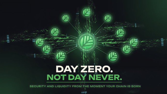 A dark promotional graphic featuring glowing green leaf-like logos connected in a network pattern with the bold text 'DAY ZERO. NOT DAY NEVER.' and tagline about security and liquidity for new chains.