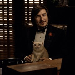 A man in a tuxedo with a bow tie sits at a desk holding a white cat, evoking a quirky "Bond villain" aesthetic that playfully aligns with the $CASHCAT meme coin branding on cashcatsol.com for the Solana blockchain. The formal yet absurd image of a well-dressed man cradling a cat humorously personifies the "cash cat" mascot promoted in the post.