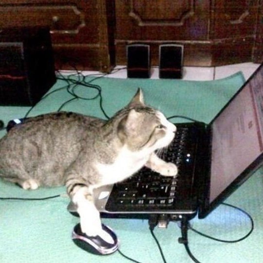 A gray and white tabby cat lounges on a laptop keyboard while resting its paw on a computer mouse, with speakers visible in the background. The image playfully illustrates the post's "meow" greeting, humorously suggesting the cat has taken over the computer, though no actual text or code like "CATZ-86RJ-P2CF" appears in the image itself.