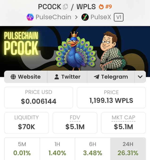 A cryptocurrency price tracker showing PCOOK token stats with a price of $0.006144 (1,199.13 WPLS), $70K liquidity, and $5.1M market cap on PulseChain and PulseX.