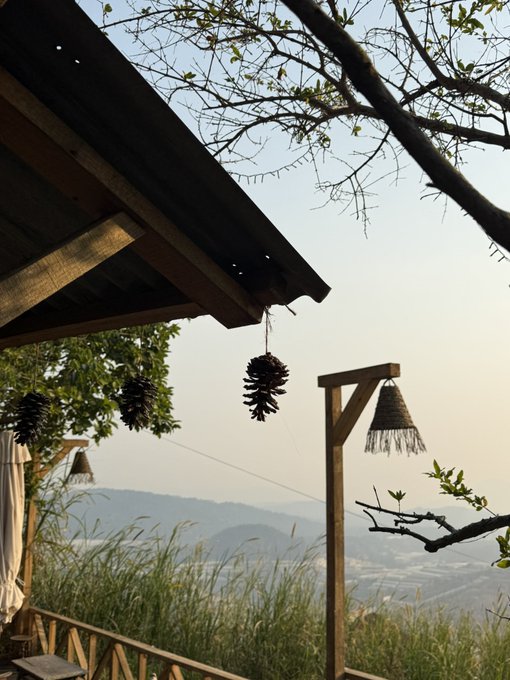 A scenic overlook featuring a wooden roof structure and a lamp post, with pinecones hanging, overlooking a valley with hills in the distance.