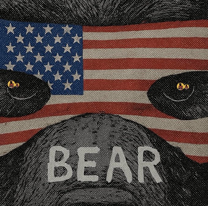 A close-up illustration of a black bear's face with piercing yellow eyes overlaid on an American flag, with the word "BEAR" written across its nose.