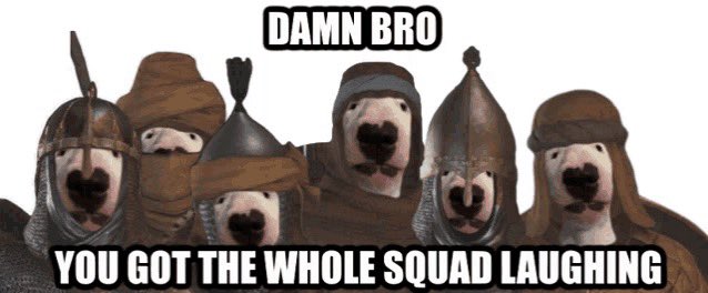 A meme featuring a row of dogs dressed as medieval warriors with the text 'DAMN BRO' and 'YOU GOT THE WHOLE SQUAD LAUGHING'.