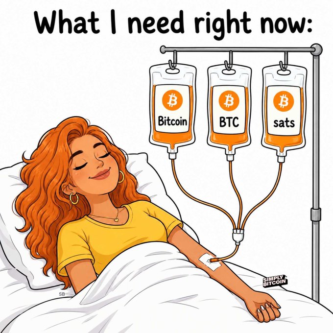 Cartoon illustration by Simply Bitcoin showing a red-haired woman lying in a hospital bed hooked up to IV drips labeled 'Bitcoin,' 'BTC,' and 'sats,' captioned 'What I need right now.'