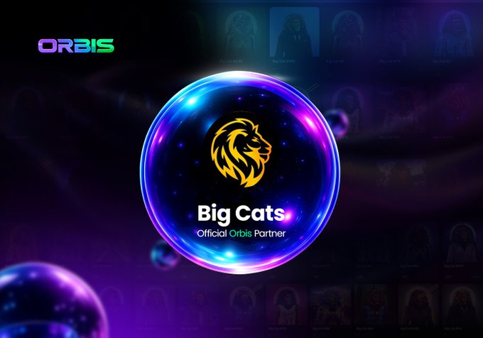 A digital graphic shows a glowing bubble with a lion logo and the text 'Big Cats Official Orbis Partner', with 'ORBIS' branding in the corner.