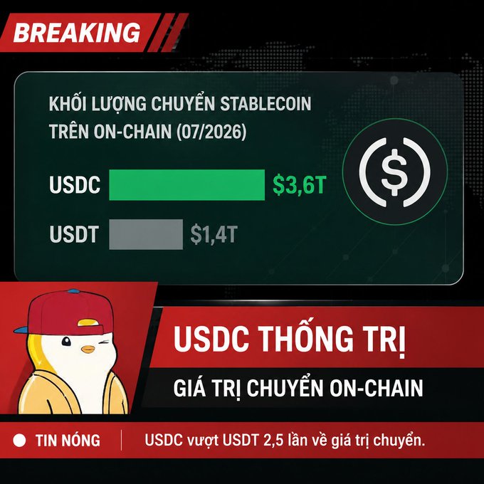 An infographic in Vietnamese titled 'KHỐI LƯỢNG CHUYỂN STABLECOIN TRÊN ON-CHAIN (07/2026)' showing USDC at $3.6T dominating USDT at $1.4T in on-chain transfer value.