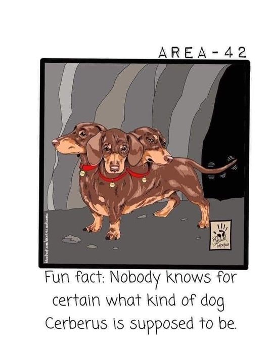 A cartoon illustration labeled 'AREA-42' depicting a three-headed dachshund with red collars in a cave, captioned 'Fun fact: Nobody knows for certain what kind of dog Cerberus is supposed to be.'