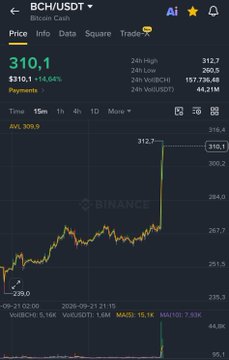 Screenshot of a Binance app displaying the BCH/USDT (Bitcoin Cash) trading pair priced at $310.1, showing a +14.94% price change on the daily chart.