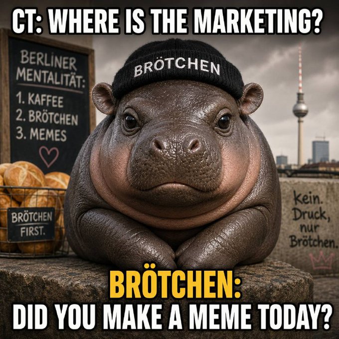 A meme features a hippopotamus wearing a beanie labeled "BRÖTCHEN" with text reading "CT: WHERE IS THE MARKETING?" at the top and "BRÖTCHEN: DID YOU MAKE A MEME TODAY?" at the bottom, with "Berliner Mentalität" written on a chalkboard in the background.