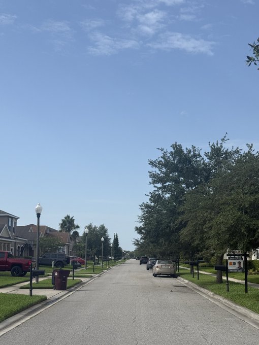 A sunny suburban residential street with houses, parked cars, palm trees, and a 'For Rent' sign on the right side.