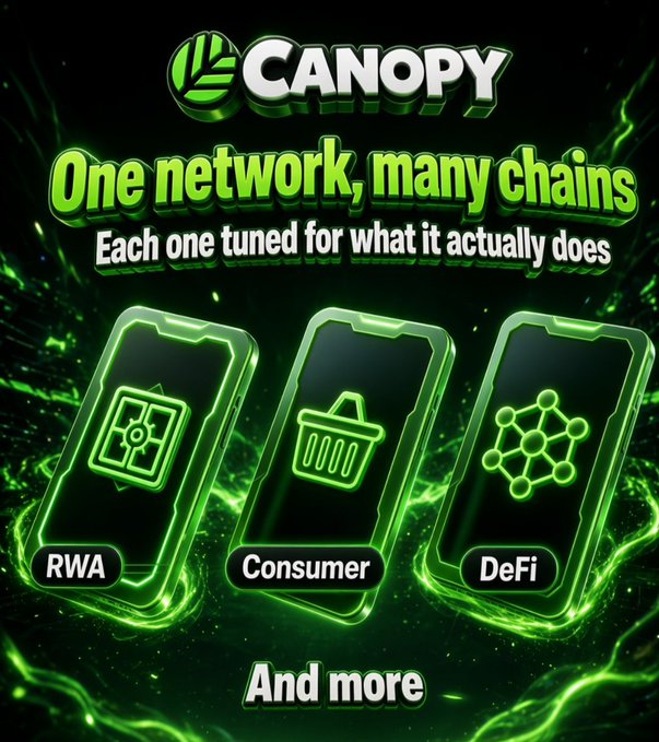 A promotional graphic for 'CANOPY' blockchain, with the tagline 'One network, many chains - Each one tuned for what it actually does,' showing three smartphone icons labeled RWA, Consumer, and DeFi, followed by 'And more.'