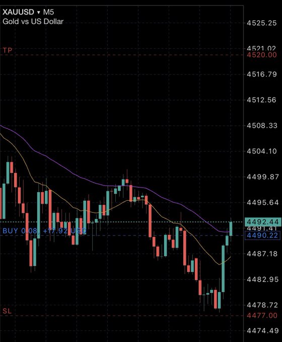 A candlestick chart of XAUUSD on M5 timeframe shows Gold vs US Dollar, with a BUY order at 4491.71, TP at 4520.00, and SL at 4477.00.