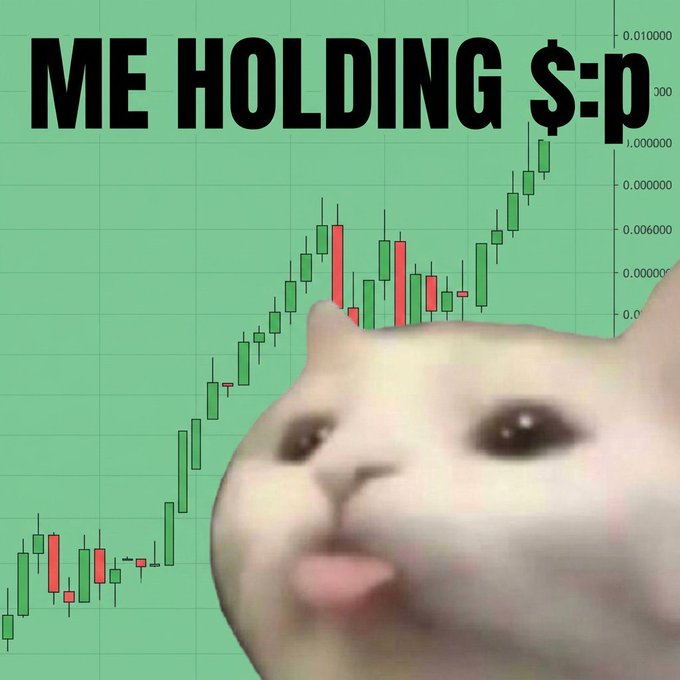 A meme featuring a white cat's face over a green candlestick chart with the bold text 'ME HOLDING $-p' displayed at the top.