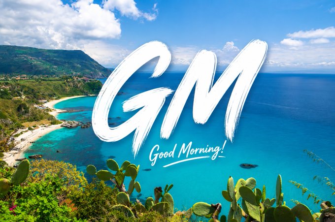 A scenic coastal landscape with turquoise water and cactus in the foreground, overlaid with large white brushstroke text reading 'GM Good Morning!'.