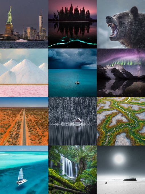 A 3x4 grid of stunning landscape and wildlife photographs showcases diverse scenes including the Statue of Liberty at dusk, a snarling grizzly bear, aurora borealis over mountains, a lone boat in turquoise waters, a desert road, a forest cabin, aerial river patterns, a waterfall, and a moonlit Antarctic expedition—all exemplifying the breathtaking travel photography of @intrepid_p featured in the thread.