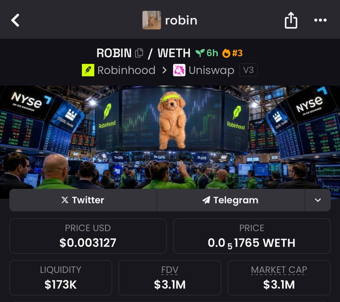 The image shows a DexScreener page for the ROBIN/WETH trading pair on Uniswap V3, displaying a price of $0.003127 USD (0.051765 WETH), liquidity of $173K, FDV of $3.1M, and market cap of $3.1M, with a whimsical stock exchange scene featuring a puppy on the big screen. The post suggests ROBIN could be the "next runner" listed on Robinhood, tying the token's name to the brokerage platform in the banner imagery.