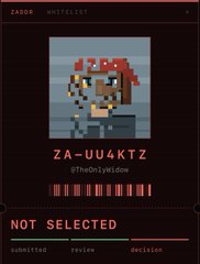 A dark digital interface displays a pixel art character with text reading "ZADOR WAITLIST", "ZA=UU4KTZ", "@TheOnlyA1s4dm", and "NOT SELECTED" with tabs for submitted, review, and decision.