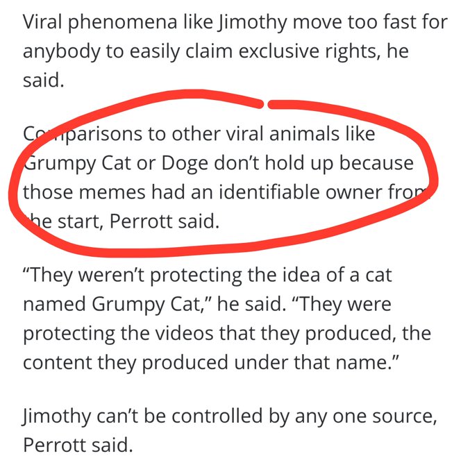 A text excerpt circled in red highlighting a quote comparing Jimothy to other viral animals like Grumpy Cat or Doge, attributed to Perrott.