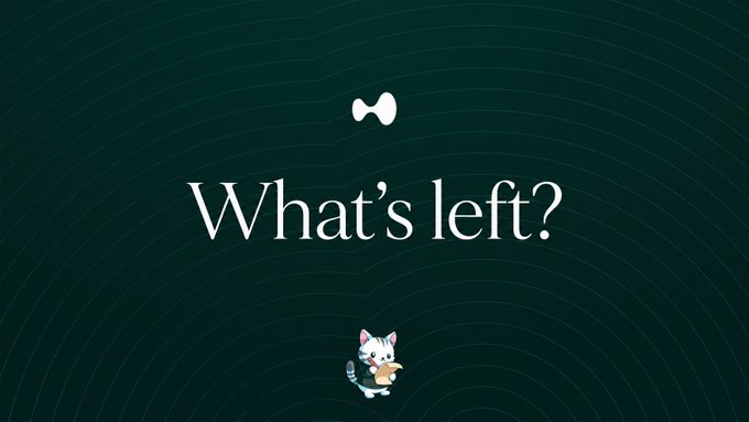 A dark green graphic featuring the text 'What's left?' with a small bone icon above and a cartoon cat holding a fish below.