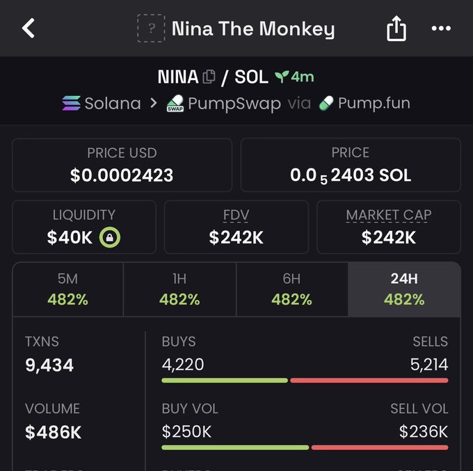 Cryptocurrency trading dashboard showing token 'NINA / SOL' on Solana via PumpSwap and Pump.fun, priced at $0.0002423 (0.00002403 SOL), with $40K liquidity, $242K FDV/Market Cap, and notable stats including 9,434 transactions and $486K volume.