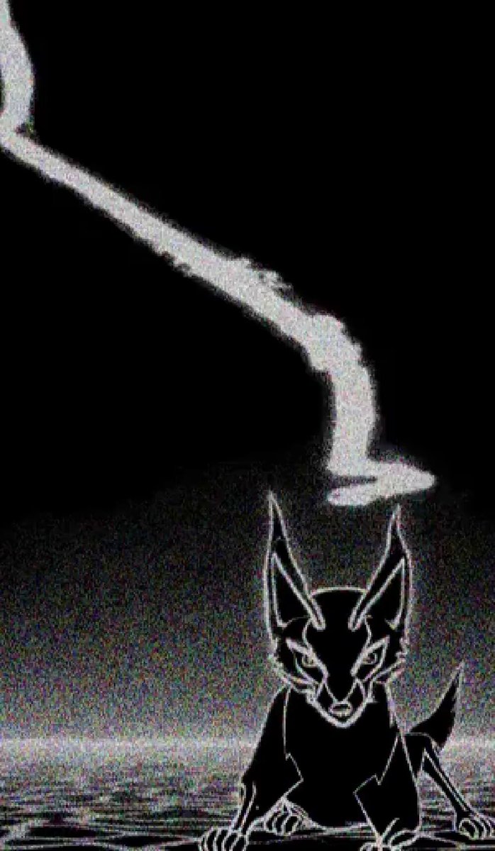 The image features a black and white cat sitting on its hind legs, looking up at something above it. The cat's position and gaze suggest that it might be observing an object or event happening above it. The background of the image appears to be dark, which contrasts with the cat's fur color. There is no text present in the image, but there are some words written on a separate post below the image.