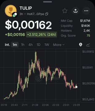 A screenshot showing the Tulip (TULIP) token priced at $0.00162 with a +2,512.26% gain over 24 hours, featuring a candlestick chart on the Hok7...GPpe platform with $1.67M market cap and 2.4K holders. The image illustrates the post's frustration about navigating new onchain tokens, highlighting Tulip as one of three similar memecoins where traders must guess which launchpad-backed coin will pump—though Tulip's massive 24-hour gain suggests it may have been the right pick among the trio.