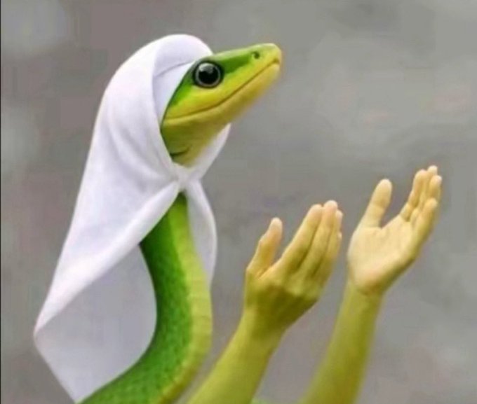A surreal, edited image of a green snake wearing a white cloth on its head, appearing to hold up two human hands in a prayer gesture.