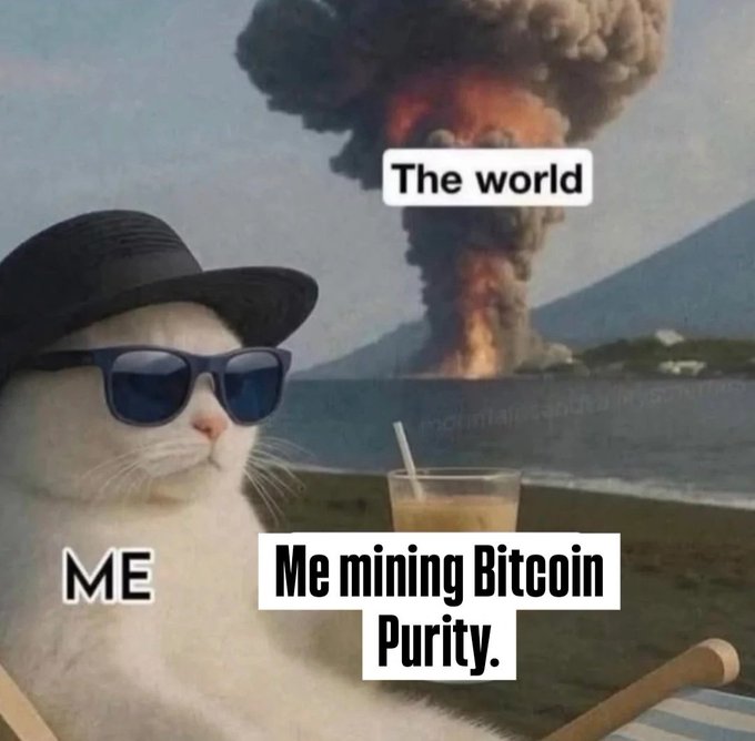 A humorous meme shows a white cat wearing sunglasses and a hat, labeled 'ME' and 'Me mining Bitcoin Purity,' appearing calm with a drink in front of an erupting volcano labeled 'The world.'