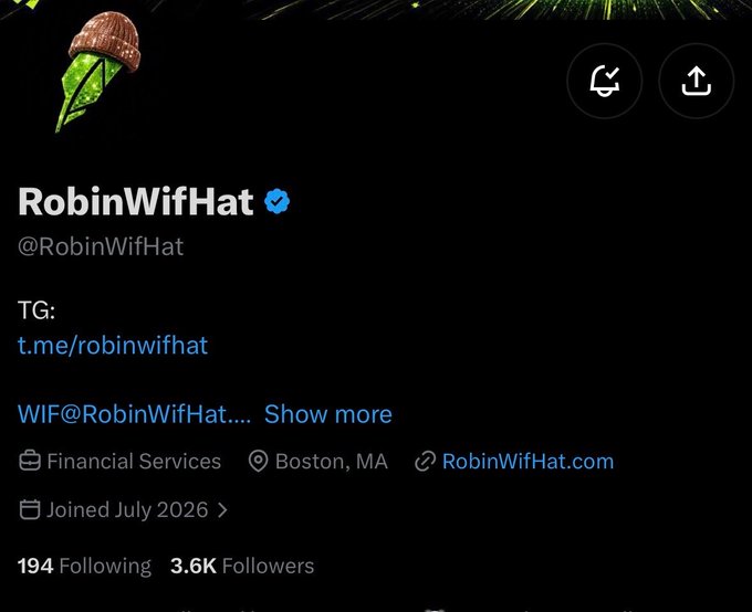 A Twitter/X profile page for "RobinWifHat" (@RobinWifHat), a verified Financial Services account based in Boston, MA with 3.6K followers, displaying its Telegram link (t.me/robinwifhat) and website (RobinWifHat.com). The profile relates to the post by announcing early alpha on the RobinWifHat token, a project with a 2,222 supply launching on the Robinhood chain.