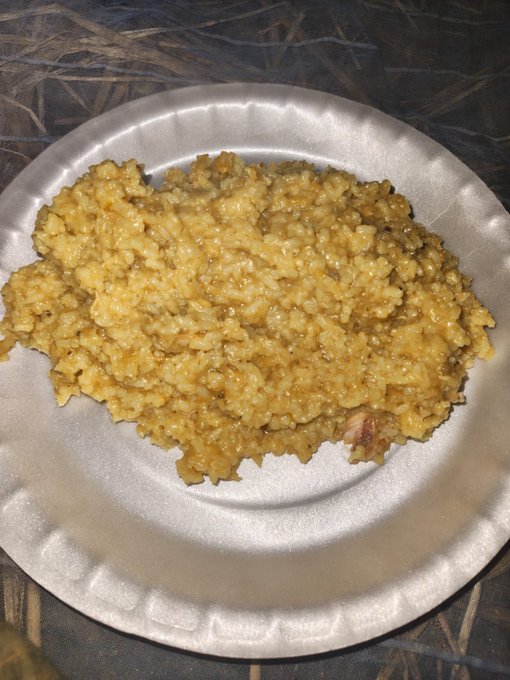 A creamy, golden-hued risotto is served on a white foam plate, reflecting the homemade, nourishing spirit of the evening post. The comforting meal symbolizes the quiet, steady progress and bullish optimism the author expresses toward @CNPYNetwork, @sleepagotchi, and @useTria.