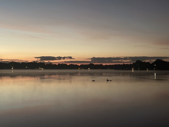 A serene sunset over a calm body of water, with silhouettes of ducks swimming and distant lights along the horizon reflecting on the surface.