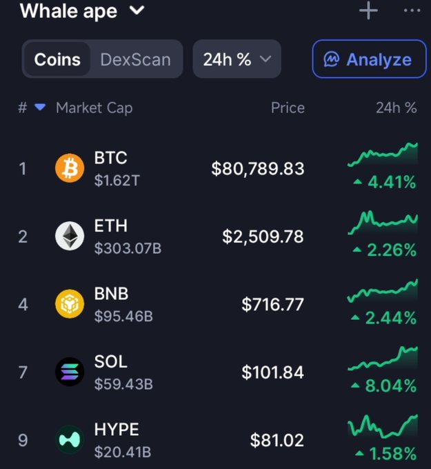 A cryptocurrency tracking app screenshot titled 'Whale ape,' displaying a coin list sorted by Market Cap including BTC ($80,789.83), ETH ($2,509.78), BNB ($716.77), SOL ($101.84), and HYPE ($81.02) with their 24-hour percentage gains.