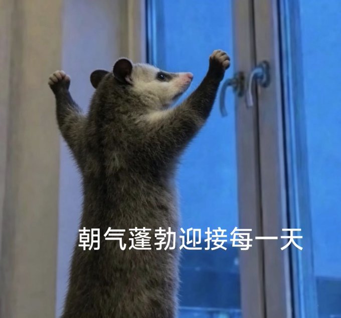 An opossum stands on its hind legs with both arms raised triumphantly in front of a window, celebrating the winners of a giveaway. The Chinese text "朝气蓬勃迎接每一天" (meaning "Greet each day with vigor and vitality") appears at the bottom, conveying an encouraging message that matches the post's sentiment of congratulating the giveaway winners and motivating others to stay engaged.